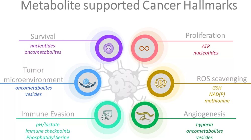 Metabolisch supported cancer hallmarks