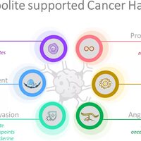 Metabolisch supported cancer hallmarks